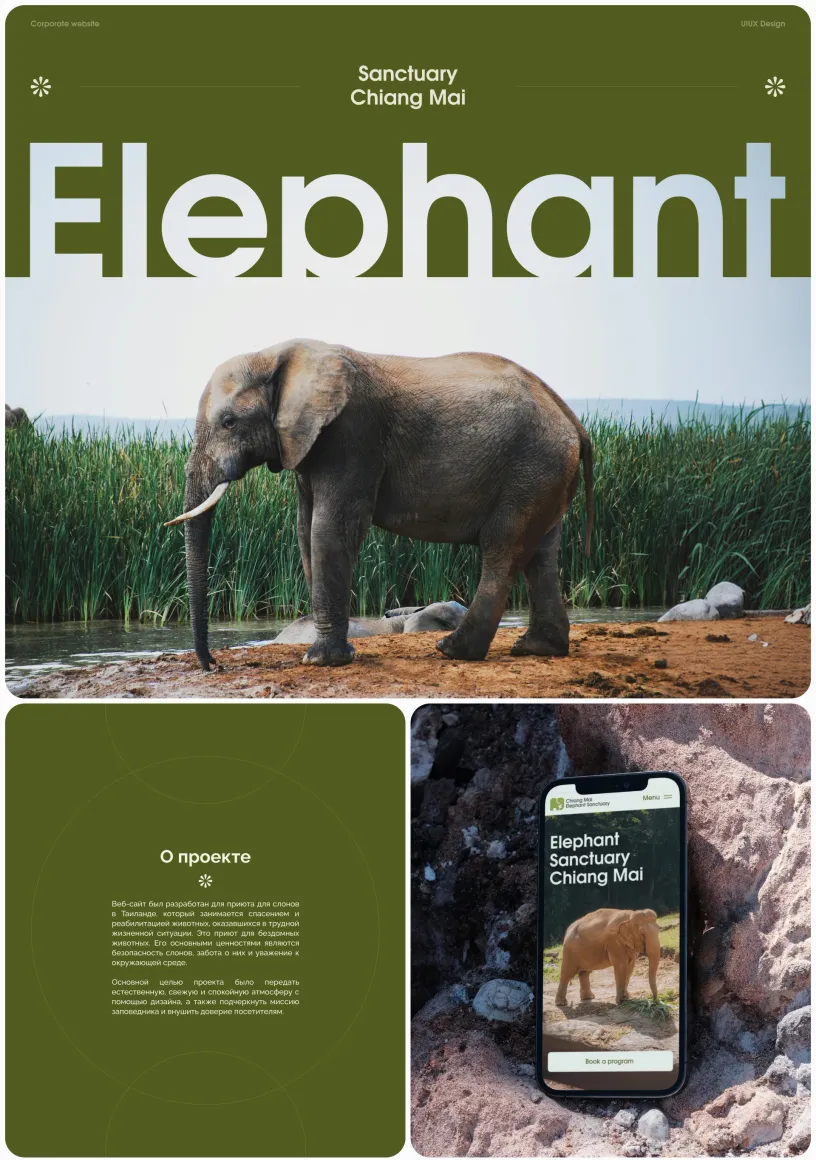 Chiang Mai Elephant Sanctuary — Сайт, слайд 01