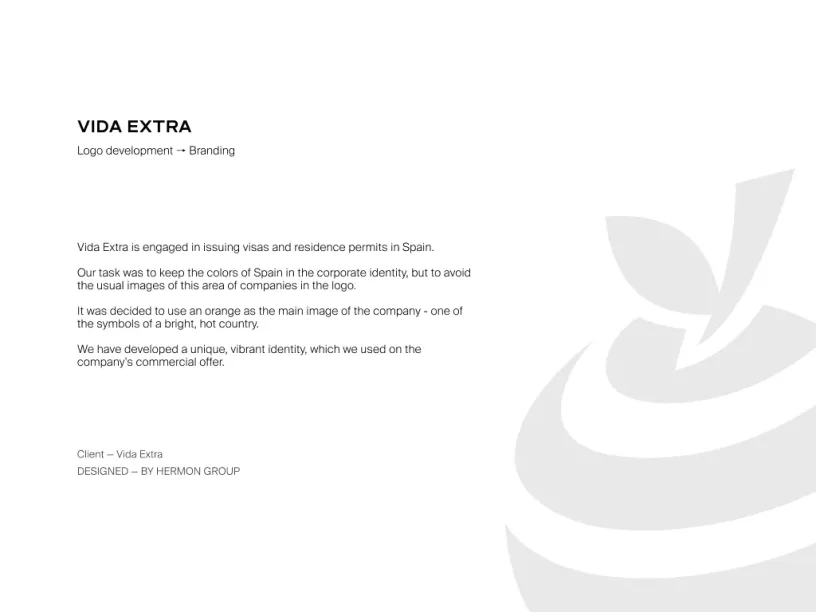 Vida Extra — Brand identity, slide 2