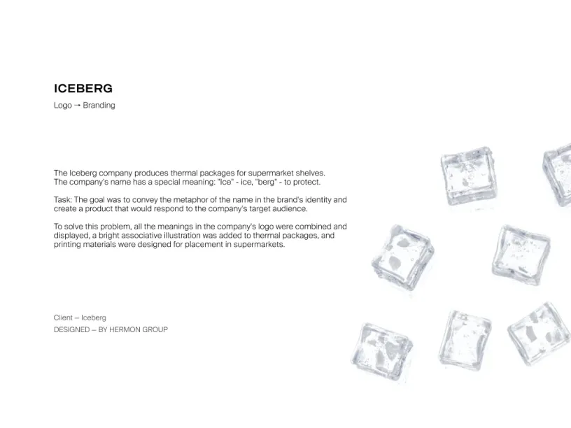 ICEBERG — Brand identity, slide 2