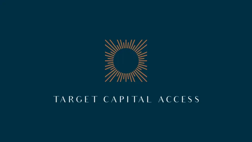 Target Capital Access — Фирменный стиль, слайд 02