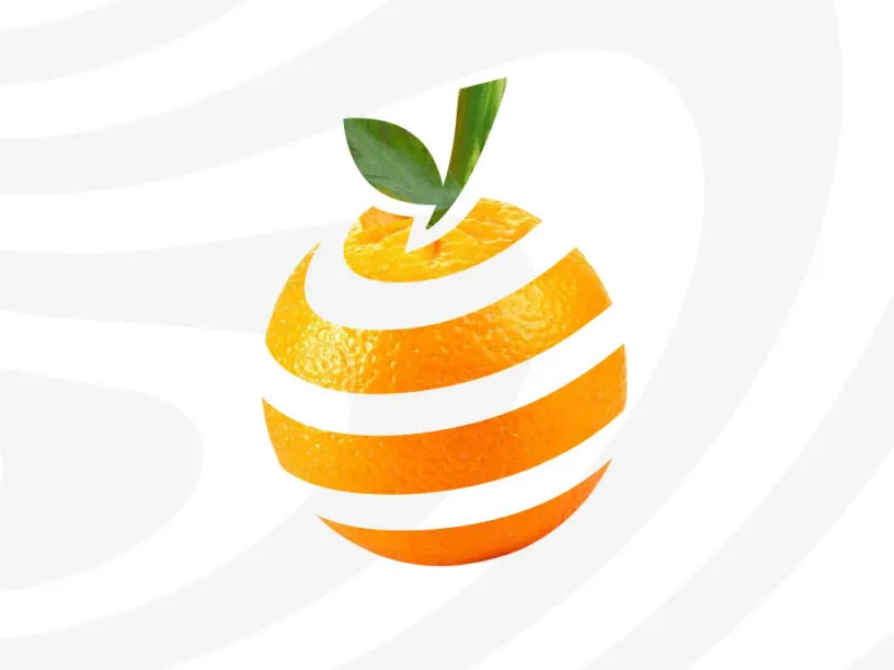Vida Extra — Brand identity, slide 4