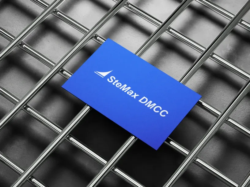 Stemax — Brand identity, slide 5