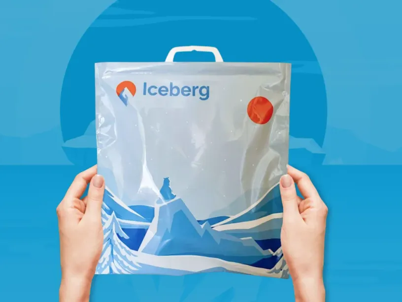 ICEBERG — Brand identity, slide 5