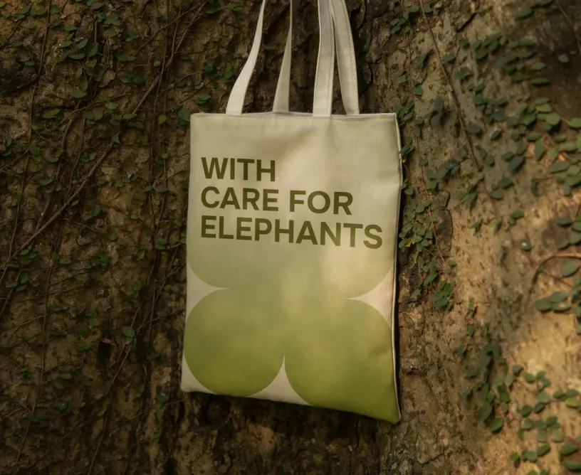 Chiang Mai Elephant Sanctuary — Фирменный стиль, слайд 06
