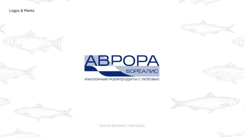 Aurora Borealis logo — Logofolio 2023–2024