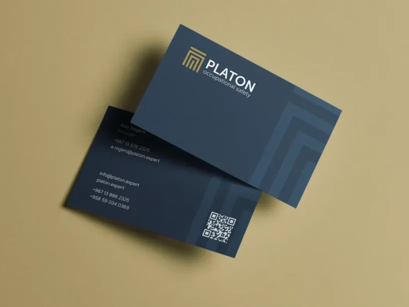 Platon — Brand identity, slide 8