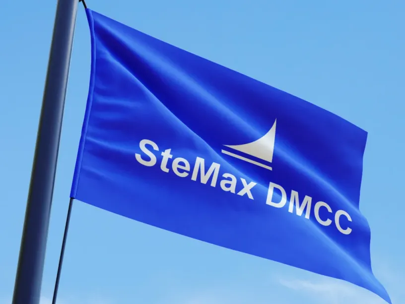 Stemax — Brand identity, slide 9