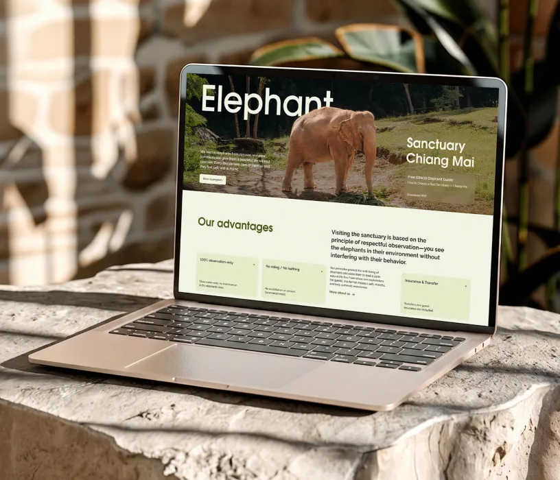 Chiang Mai Elephant Sanctuary — Фирменный стиль, слайд 16