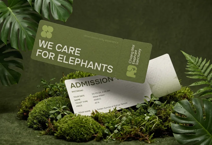 Chiang Mai Elephant Sanctuary — Фирменный стиль, слайд 18