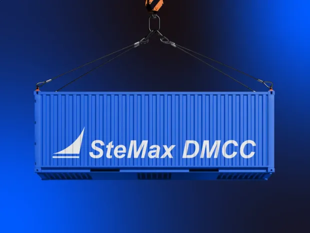 Stemax — project