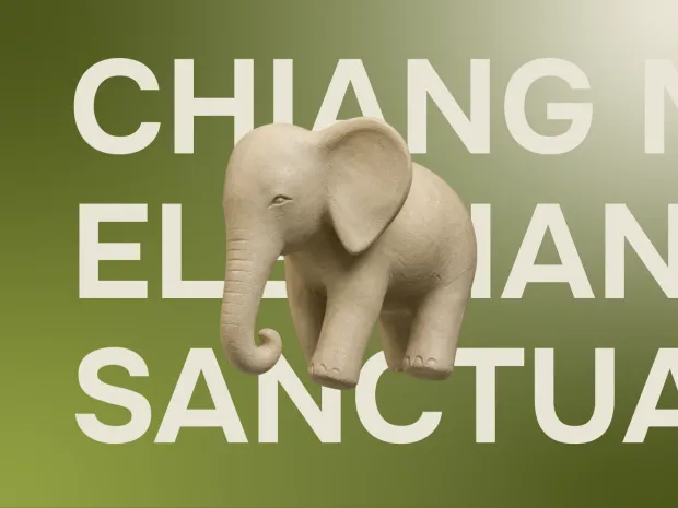 Chiang Mai Elephant Sanctuary — проект