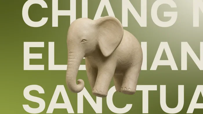 Chiang Mai Elephant Sanctuary