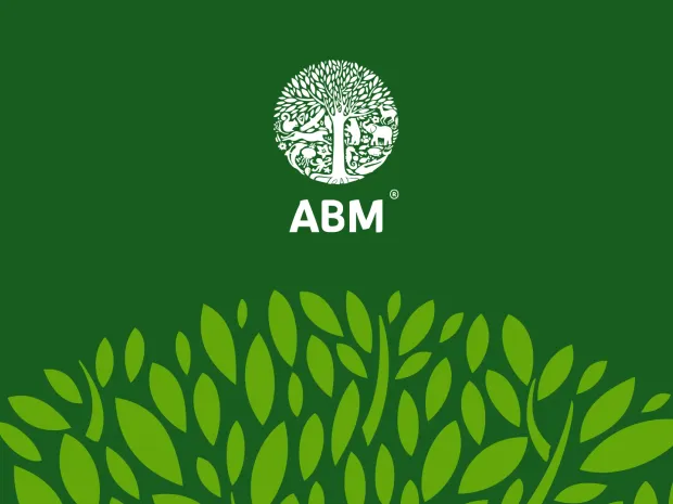 АВМ — проект
